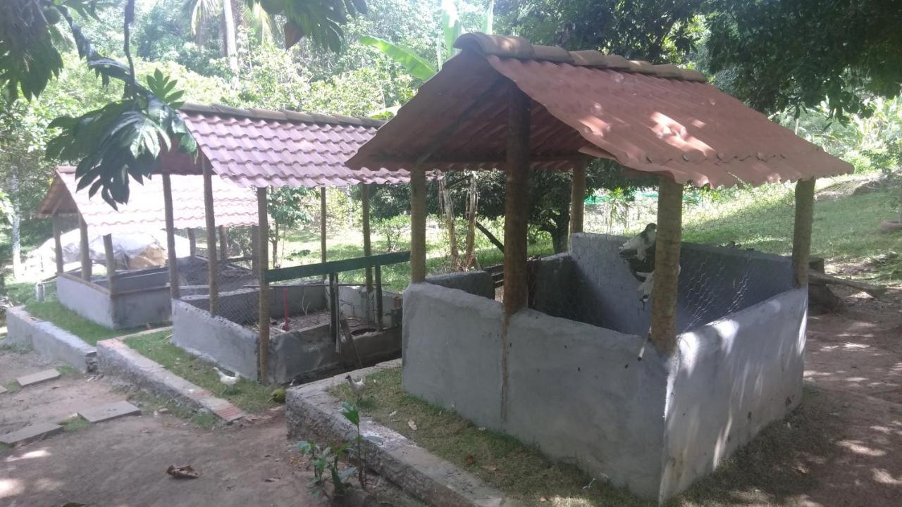 Hotel Fazenda Agua Da Prata Agri Turismo Camacari Exterior foto